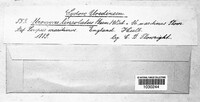 Image Associated With the Occurence